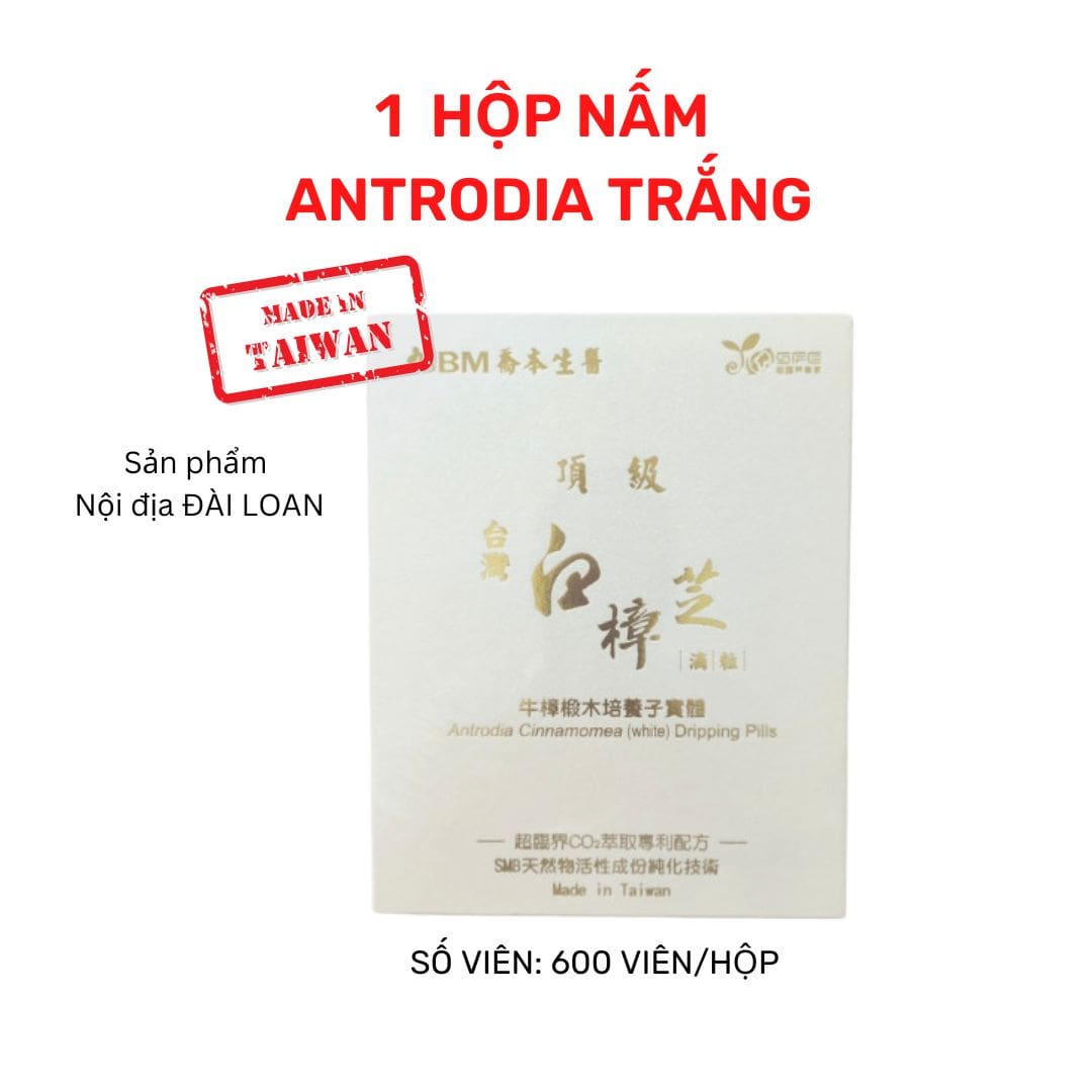 Viên nấm Antrodia TRẮNG số 1 Đài Loan